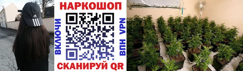 Как найти закладки Макаров KRAKEN tor  Меф  ГАШ  Alpha PVP  Амфетамин 