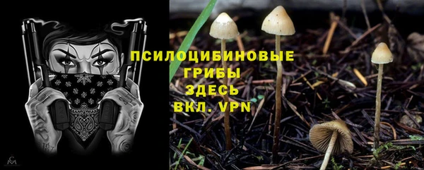 а пвп мука Богородск