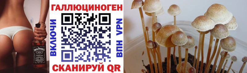Галлюциногенные грибы GOLDEN TEACHER Макаров