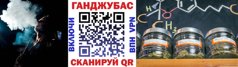Каннабис сатива  Макаров 